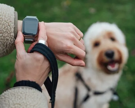 The Truth About Fitness Trackers? Living Feels Fuller Lacking a Bossy Gadget on Your Wrist